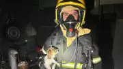 Pai e filhas são resgatados desacordados após incêndio em apartamento de Colatina