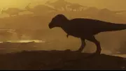 Paleopatologia: como cientistas descobrem doenças em fósseis de dinossauros e trilobitas