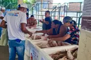 Pará celebra gastronomia com Semana do Pescado e Festival do Chocolate em abril