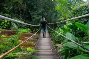 Parque Nacional da Tijuca bate recorde com 4,9 milhões de visitantes em 2025