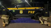 Perseguição de 50 km na BR-365 termina com apreensão de 50 kg de maconha em MG