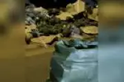 PF apreende quase meia tonelada de cocaína em caminhão de abacaxi no Tocantins