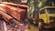 PF desmantela garimpo e extração ilegal de madeira em terra indígena no Pará