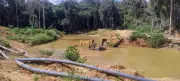 PF destrói ponte clandestina usada por garimpeiros em áreas protegidas de Rondônia