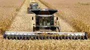 Plano Safra 2026/2027 gera incertezas no agronegócio brasileiro