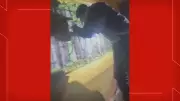 PM prende suspeito de atirar contra motoristas de app em Ceilândia, DF