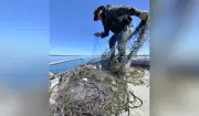 Polícia Ambiental apreende 650 metros de redes de pesca ilegais em Rosana