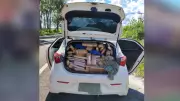 Polícia apreende mais de meia tonelada de maconha em rodovia de Nhandeara, SP