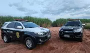Polícia Civil recupera cinco veículos furtados em operação no Oeste Paulista