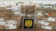 Polícia do DF desarticula quadrilha que roubava medicamentos de alto custo para venda ilegal
