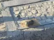 Polícia do Rio desarma granada de som e luz encontrada na orla de Copacabana
