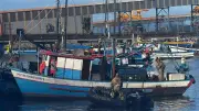 Polícia Federal prende quatro por pesca ilegal e apreende 350 kg de camarão em Itaguaí