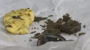 Polícia prende quatro com supermaconha e vapes em escritório de Ribeirão Preto