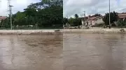 Porcos são arrastados por correnteza de rio após chuva em Massapê, CE