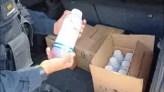 PRF apreende 50 kg de agrotóxicos irregulares na Dutra em Jacareí