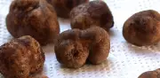 Produção de trufas no RS bate recorde com quilo a R$ 10 mil e se consolida no mercado