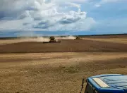 Produtores do Tocantins enfrentam clima adverso e custos altos, mas mantêm resiliência no campo