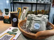 Programa Mulheres Inovadoras seleciona startups lideradas por mulheres no Amapá