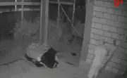 Proprietário flagra invasor em obra e aciona PM em Pirapora; homem é preso