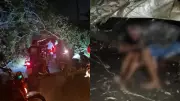 Queda de árvore bloqueia estrada e fere motociclistas em Teresina