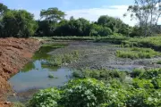 Área rural de Mirassol D'Oeste é embargada após descarte irregular de dejetos químicos em córrego