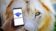 Receita Federal anuncia cashback automático para 4 milhões de brasileiros em 2026