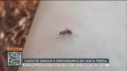 RJ1 Notícias: Acompanhe as principais reportagens do Rio de Janeiro nesta quarta-feira