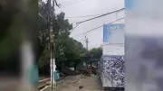 Árvore de grande porte cai e interdita avenida Pedro Miranda em Belém