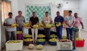 SAF entrega mais de três toneladas de alimentos no Piauí, beneficiando 116 famílias