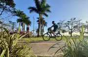 Santos aprova lei para instalar Ecototens nas praias com sacolas biodegradáveis