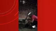 Sucuri de quase dois metros é resgatada em área residencial de Manaus