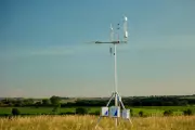 Tecnologia que mede 'suor' das plantas ajuda a salvar colheitas na seca
