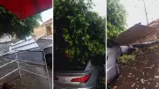 Temporal causa estragos em Fernandópolis: árvores caem, telhados voam e avenidas alagam
