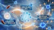 Terapia celular japonesa mostra resultados promissores contra doença de Parkinson