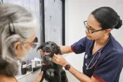 Teresina oferece serviços gratuitos para cães e gatos neste sábado (25)