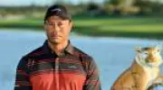 Tiger Woods se afasta do golfe após prisão e declarações confusas sobre Trump