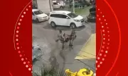 Tiroteio em Salvador deixa policial militar e dois suspeitos feridos em Brotas
