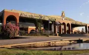 Tocantins Consegue Prazo Extra para Garantir R$ 56 Milhões do Fundo Amazônia