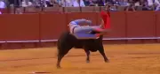 Toureiro peruano sofre chifrada de 35 cm em tourada na Espanha