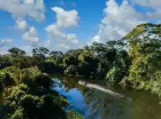 Tratamento de esgoto no Pantanal: como o saneamento urbano protege a maior planície alagável do mundo