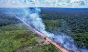 TRF1 derruba liminar e Dnit retoma licitações para obras na BR-319