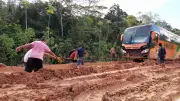 TRF1 suspende liminar e libera licitações para obras na BR-319