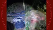 Três homens são presos por caça ilegal de veados em área protegida de Ponta Grossa