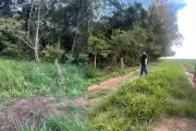 Três jovens desaparecidos são encontrados mortos em Campo Novo do Parecis; dois suspeitos presos