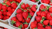 Truque Simples com Vinagre Mantém Morangos Frescos por Mais Tempo na Geladeira