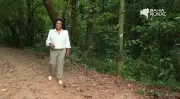 TV Bahia e G1 Bahia Apresentam os Principais Vídeos do Domingo, 5 de Abril de 2026