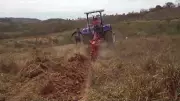 Vídeos da Inter TV Rural deste domingo, 26 de abril: destaques do campo