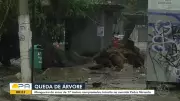 Vídeos do BDP de Segunda-feira, 20 de Abril: Confira as Principais Notícias do Pará