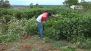 Vídeos do G1 e TV Bahia: Destaques do Domingo, 19 de Abril de 2026