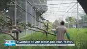 Vídeos NE2: Confira os destaques de quarta-feira, 8 de abril de 2026